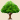 starostlivost-o-les-